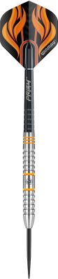 Steeldart Winmau Scott Waites silver colour 1019-25g