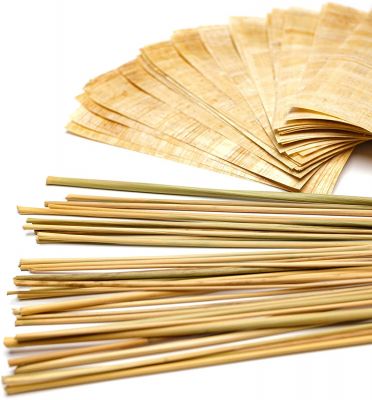 Forum Traiani Binsen Schreibset Klassensatz 30x Papyrus-Streifen 20x10cm und 30 Schreibbinsen aus Ägypten 